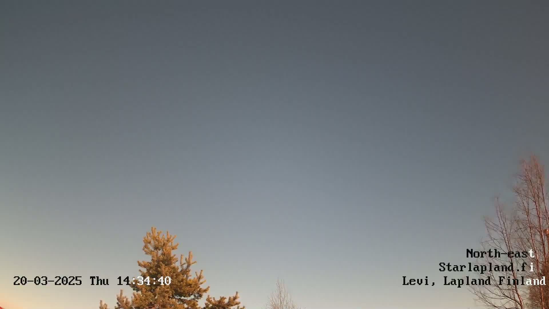 A mostly clear, pale gray sky is visible above a few bare and coniferous trees.