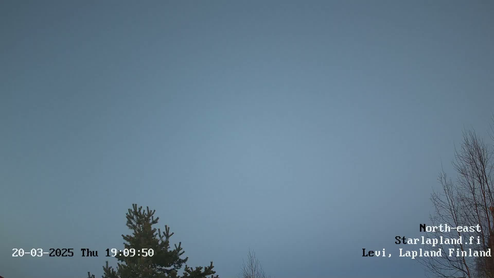 A mostly clear, pale blue sky is visible above a few bare and evergreen trees.