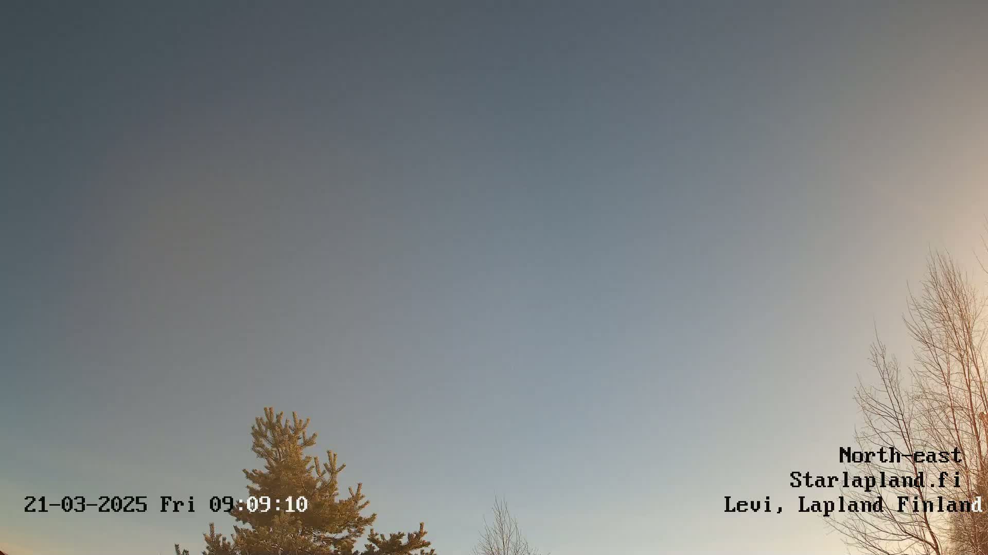 Under a clear, light-grey sky, the tops of evergreen and bare deciduous trees are visible against a brightening horizon.