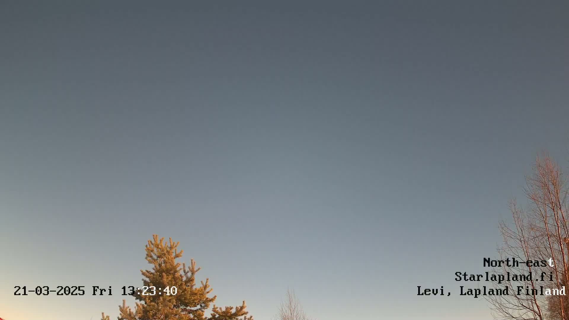 Under a clear, light-grey sky, the tops of several coniferous and deciduous trees are visible against the horizon.