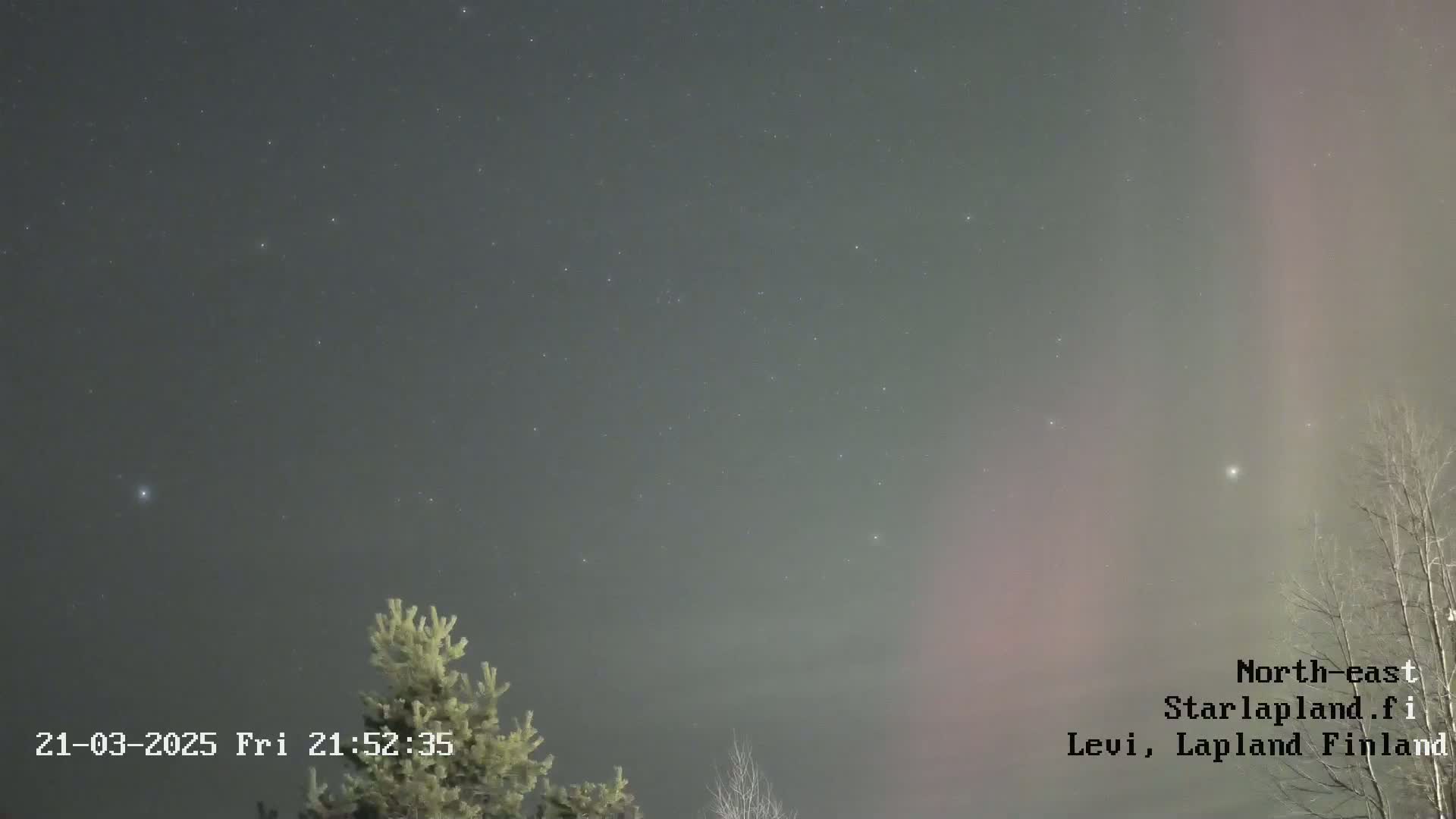 A faint aurora borealis appears in the night sky above a few silhouetted trees.