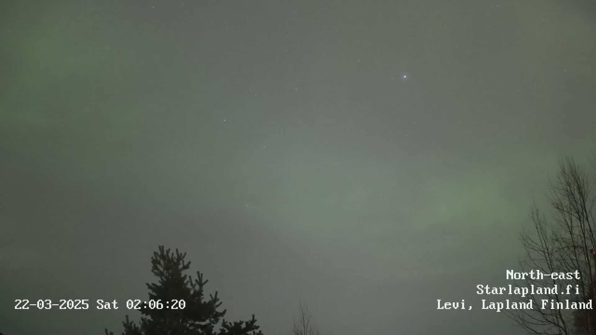 A pale green aurora borealis is visible in a dark, hazy night sky above some bare trees and evergreens.