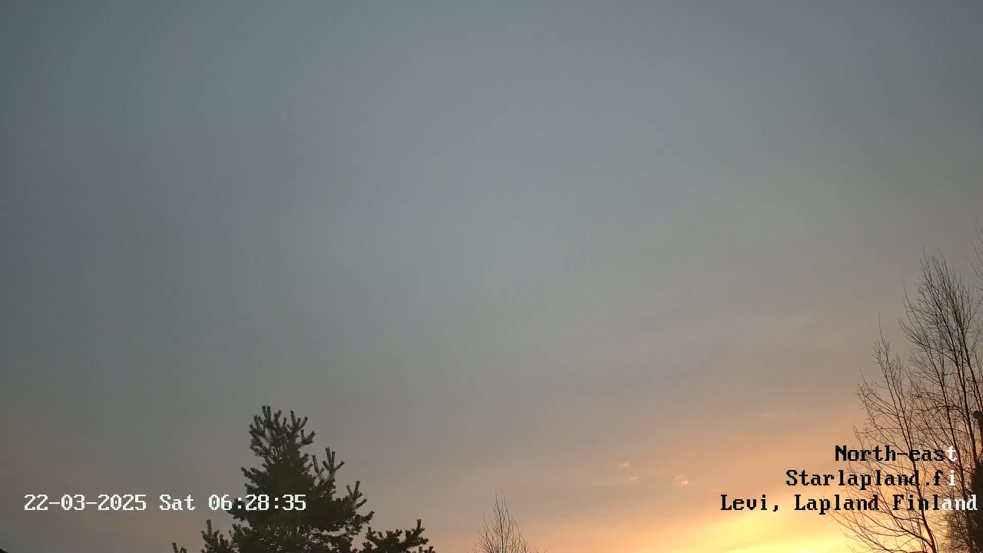 A pale orange sunset is visible through a mostly cloudy sky, with the silhouettes of bare and coniferous trees in the foreground.