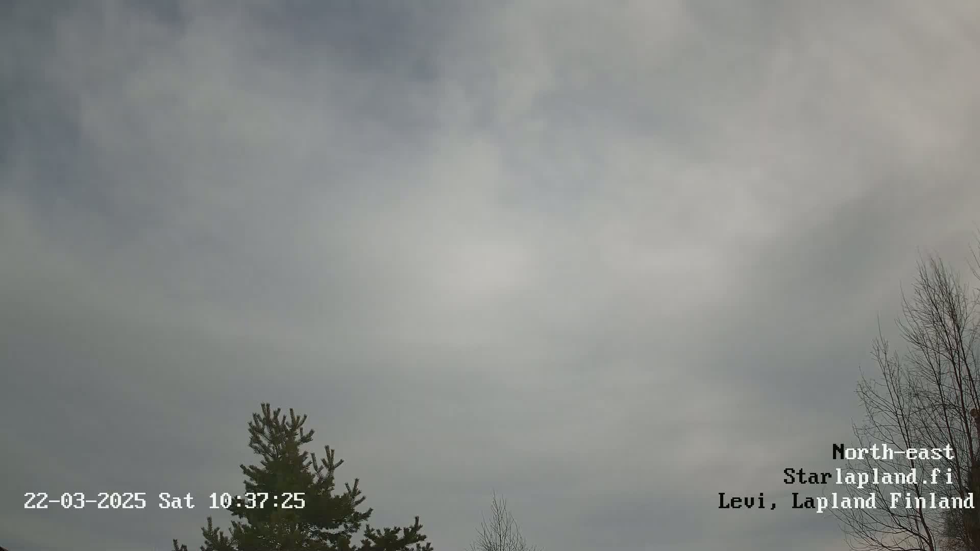 A mostly cloudy, overcast sky is visible above a few leafless trees and a coniferous tree.