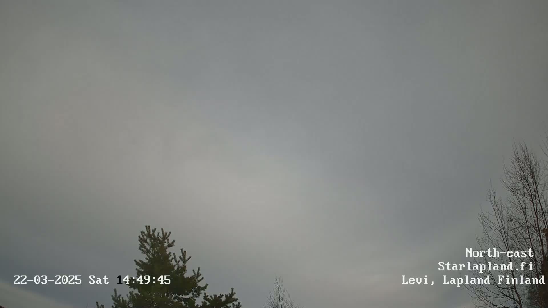 A mostly overcast sky is visible, with a few bare branches of trees in the bottom right corner and a coniferous tree on the left.
