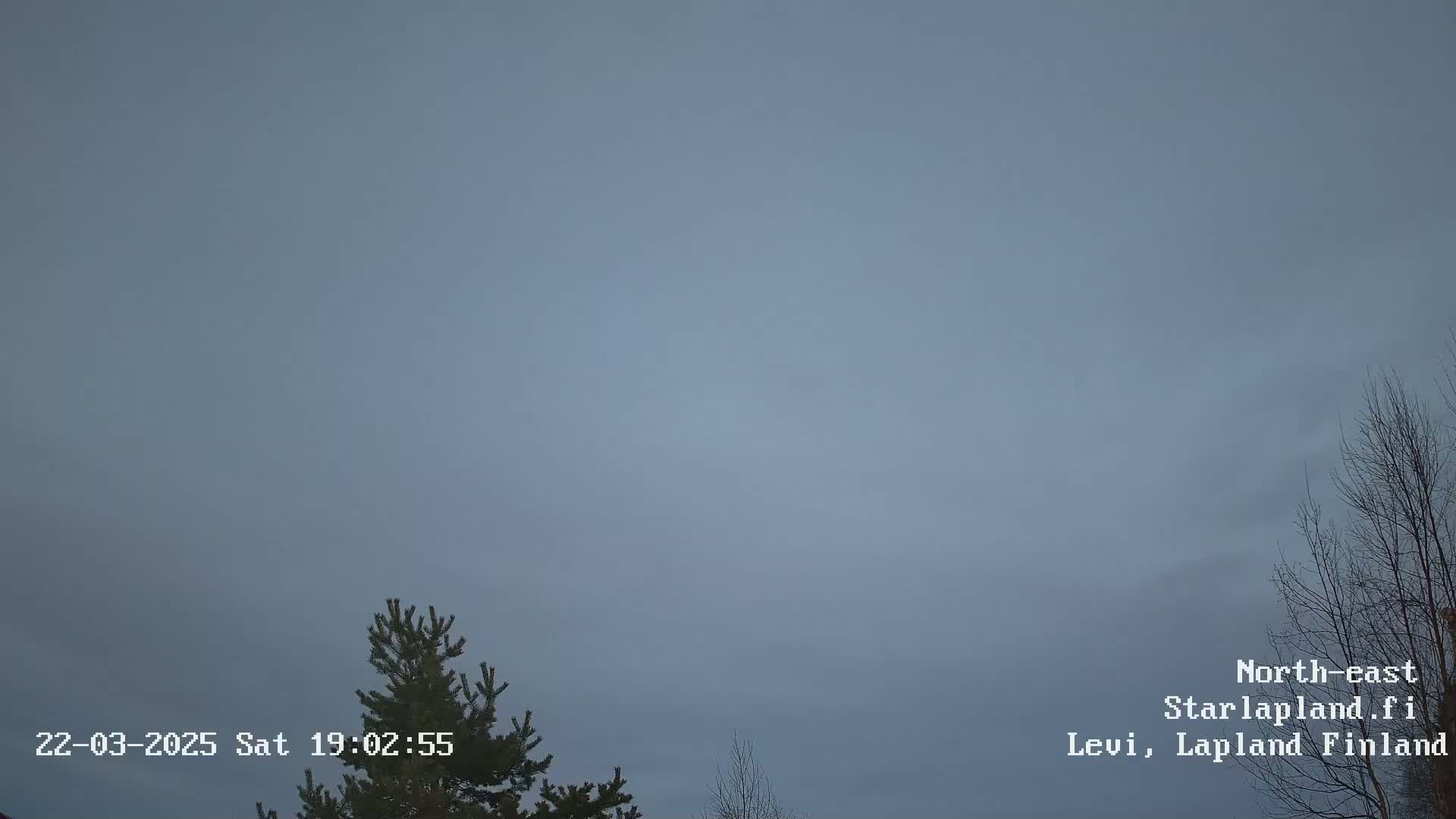 A mostly cloudy, overcast sky is visible above a few leafless trees and the top of an evergreen tree.
