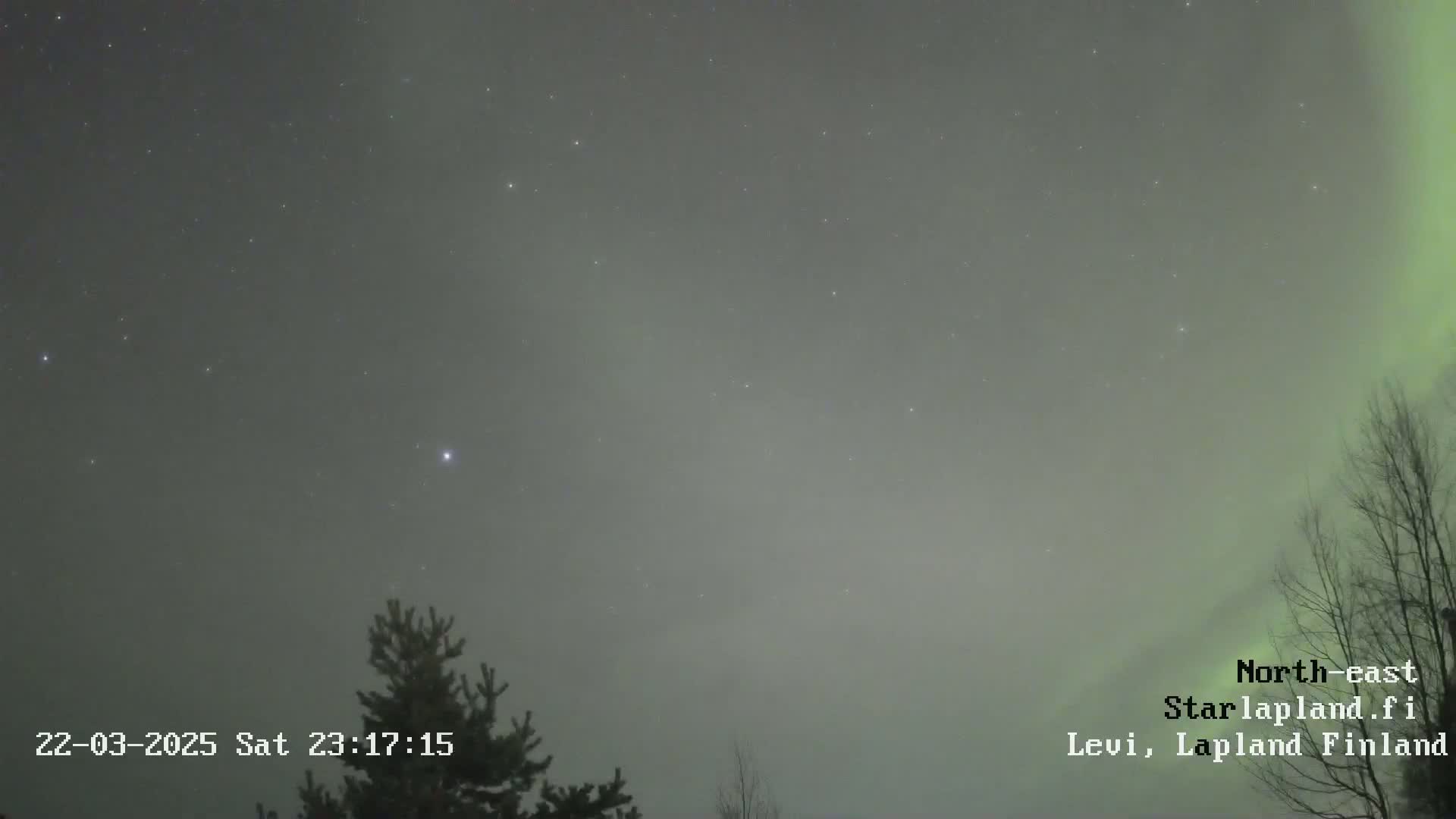 A faint aurora borealis illuminates a night sky speckled with stars above a few silhouetted trees.