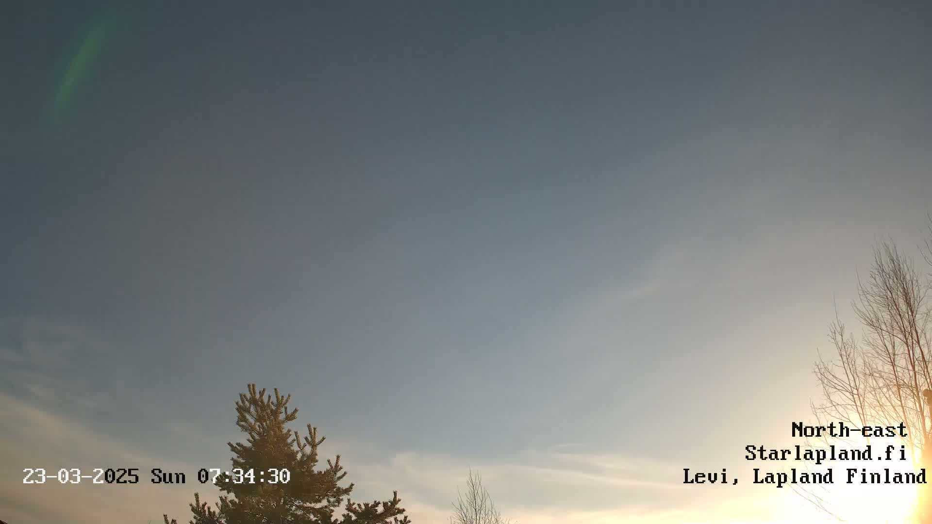 A pale, mostly clear sky with a faint aurora borealis visible near the top left, showing bare trees and evergreen trees in the lower portion of the image at sunrise or sunset.