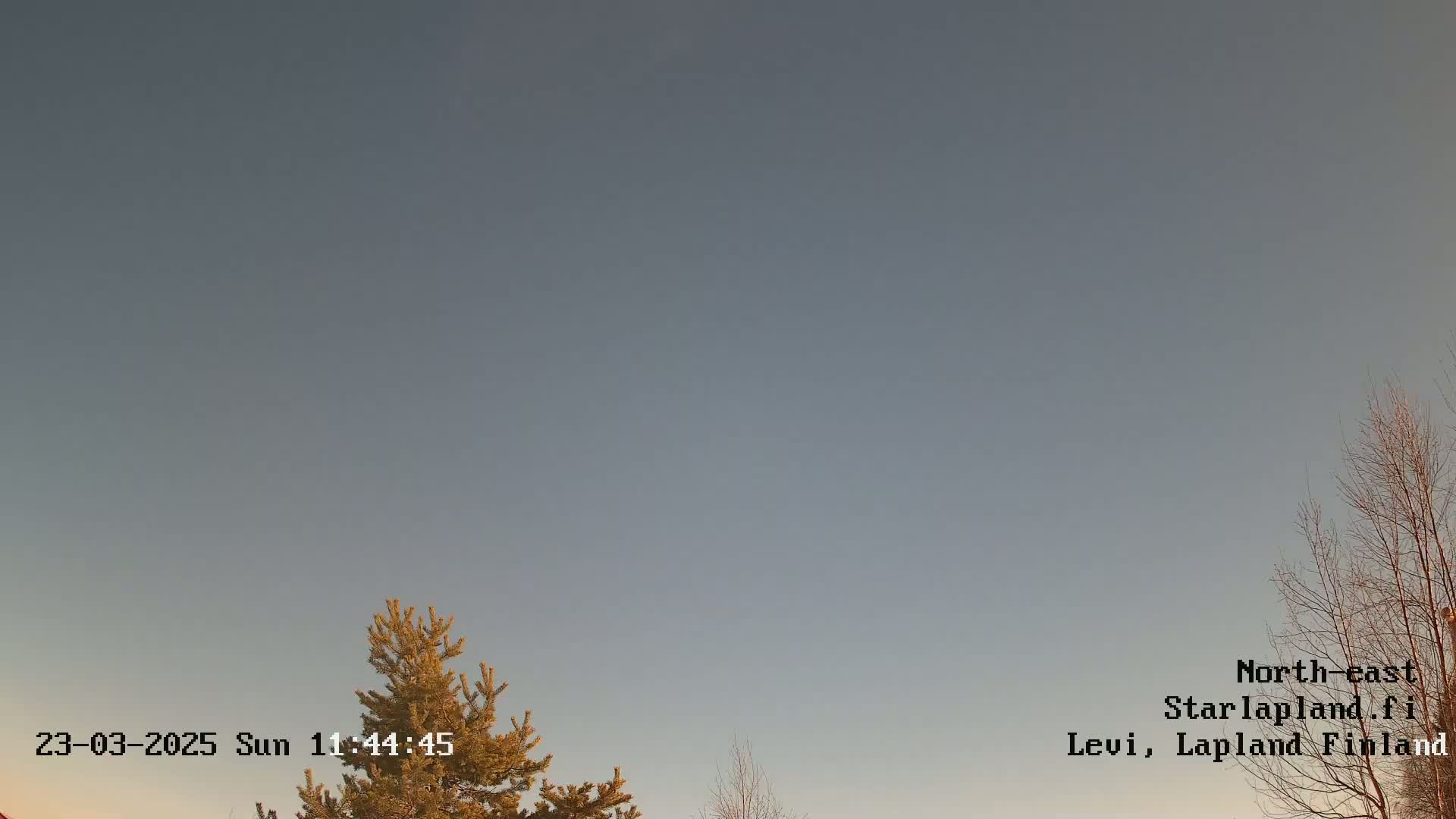 A mostly clear, pale gray sky is visible above a few leafless and evergreen trees.