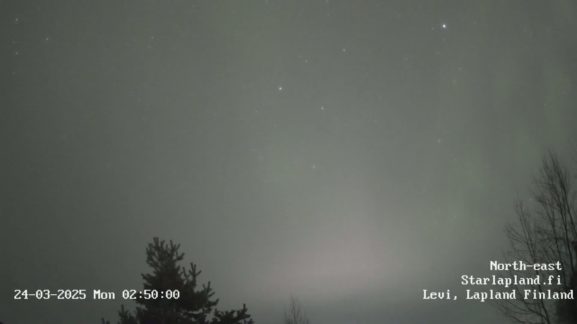 A hazy, star-filled night sky is visible above a dark silhouette of trees.