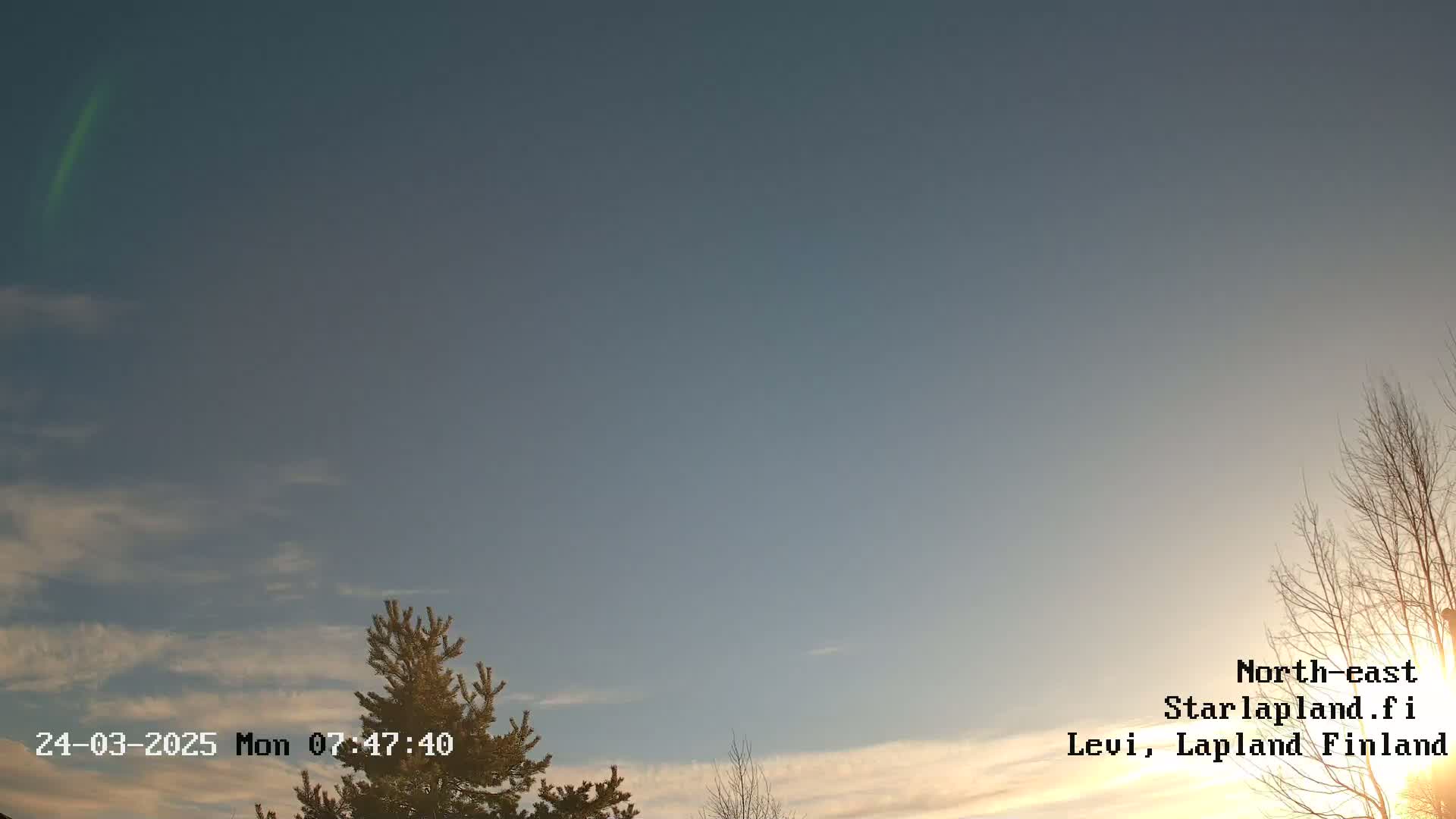 A mostly clear, pale blue sky with a few wispy clouds shows the sun setting behind bare branches of a tree and an evergreen tree to the left, under a faint aurora.