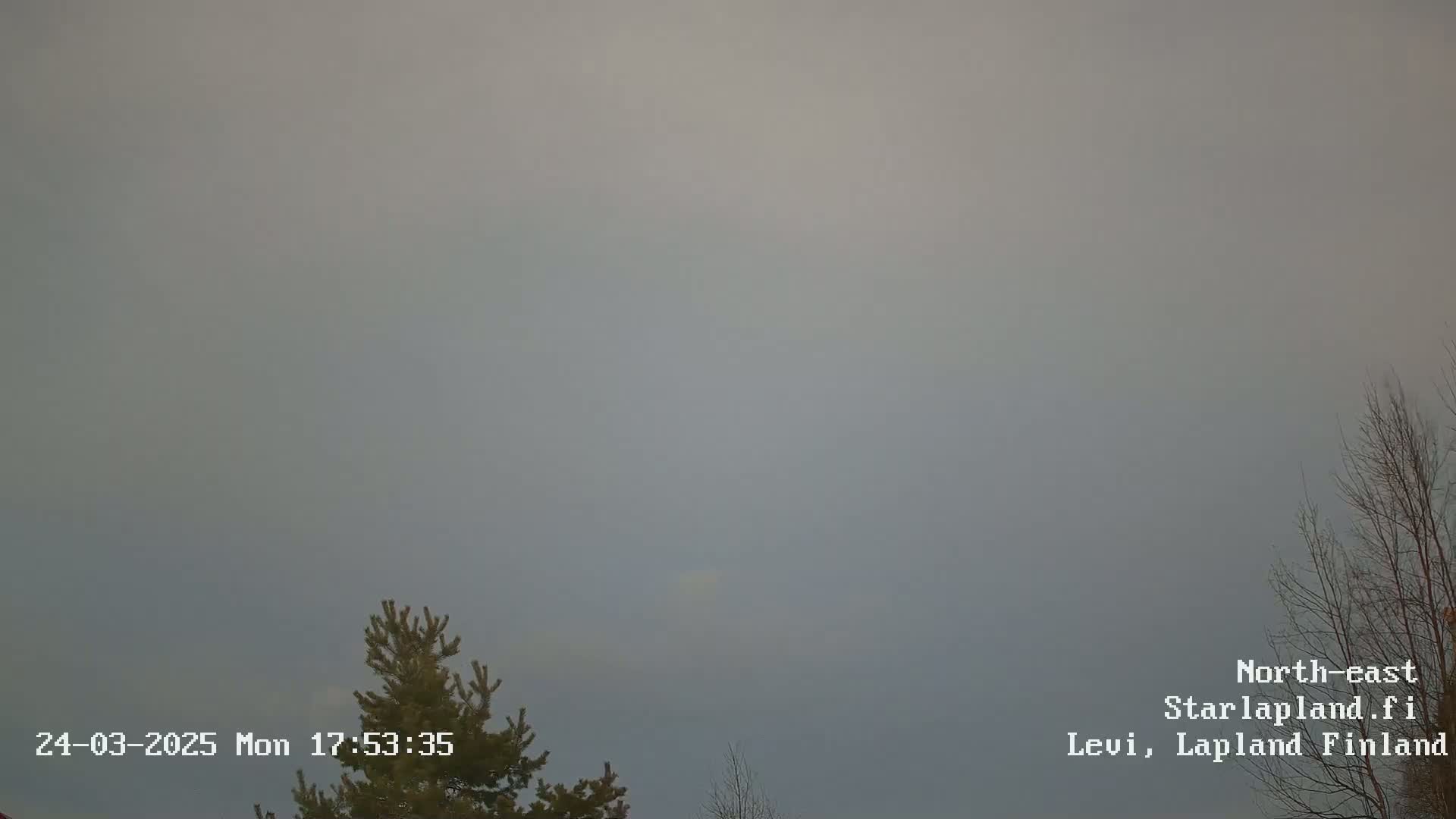 A mostly overcast sky is visible above a few leafless trees and a coniferous tree.