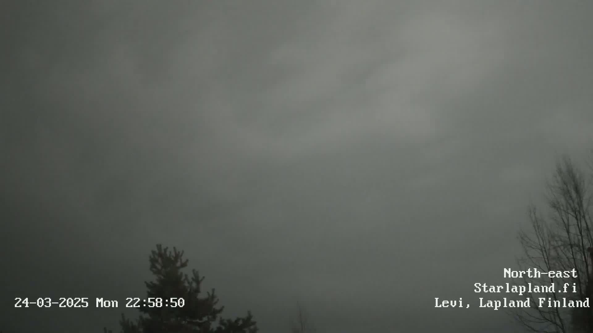 A mostly overcast, gray sky hangs over leafless trees and evergreen shrubs.