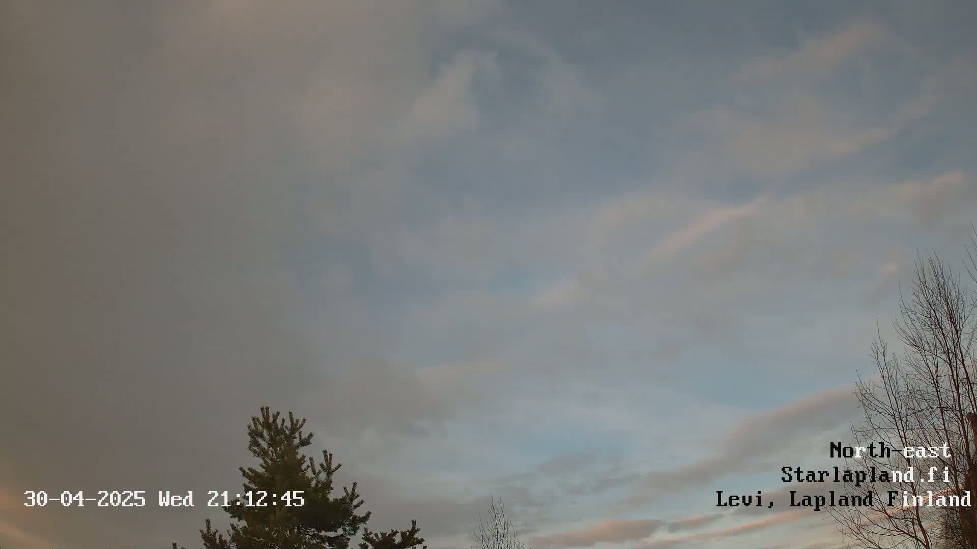 A mostly cloudy sky with hints of blue, partially obscuring a silhouetted evergreen tree and bare deciduous trees.
