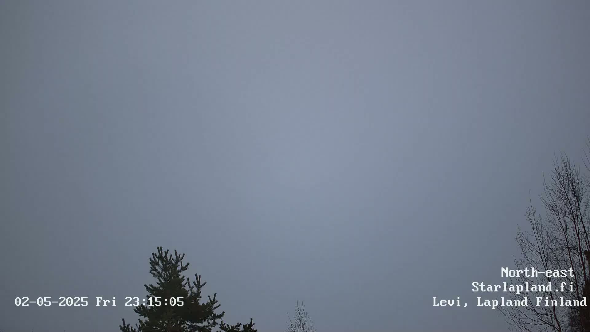 A mostly overcast sky is visible above bare branches and evergreen trees.