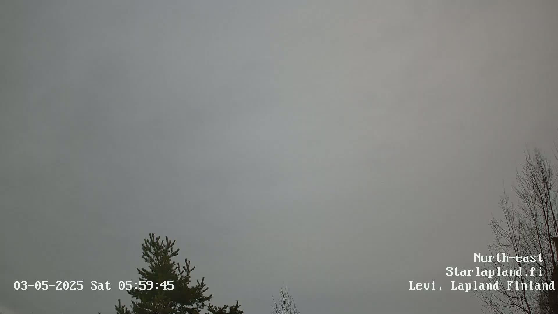 A mostly overcast sky is visible above a few bare and evergreen trees.