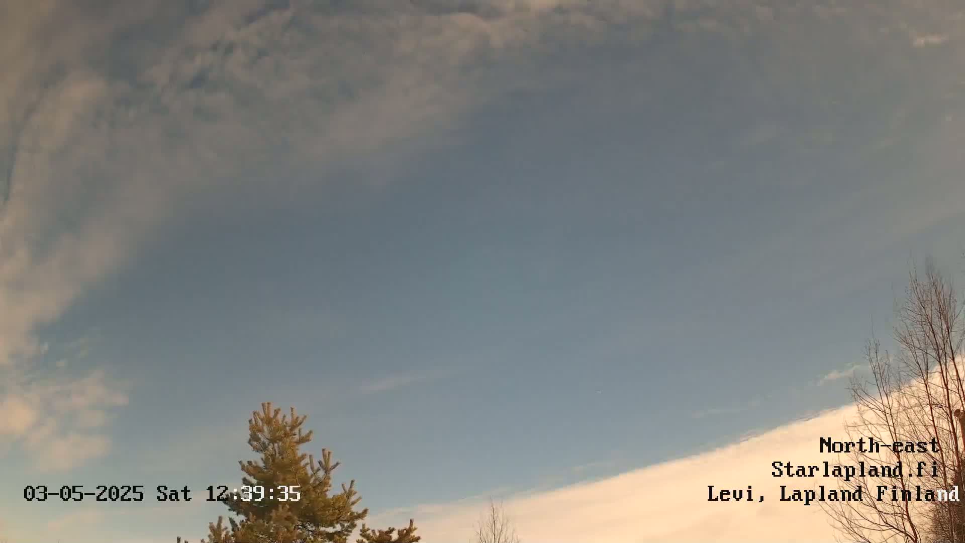 A mostly clear, pale blue sky with wispy clouds is visible above a few trees.