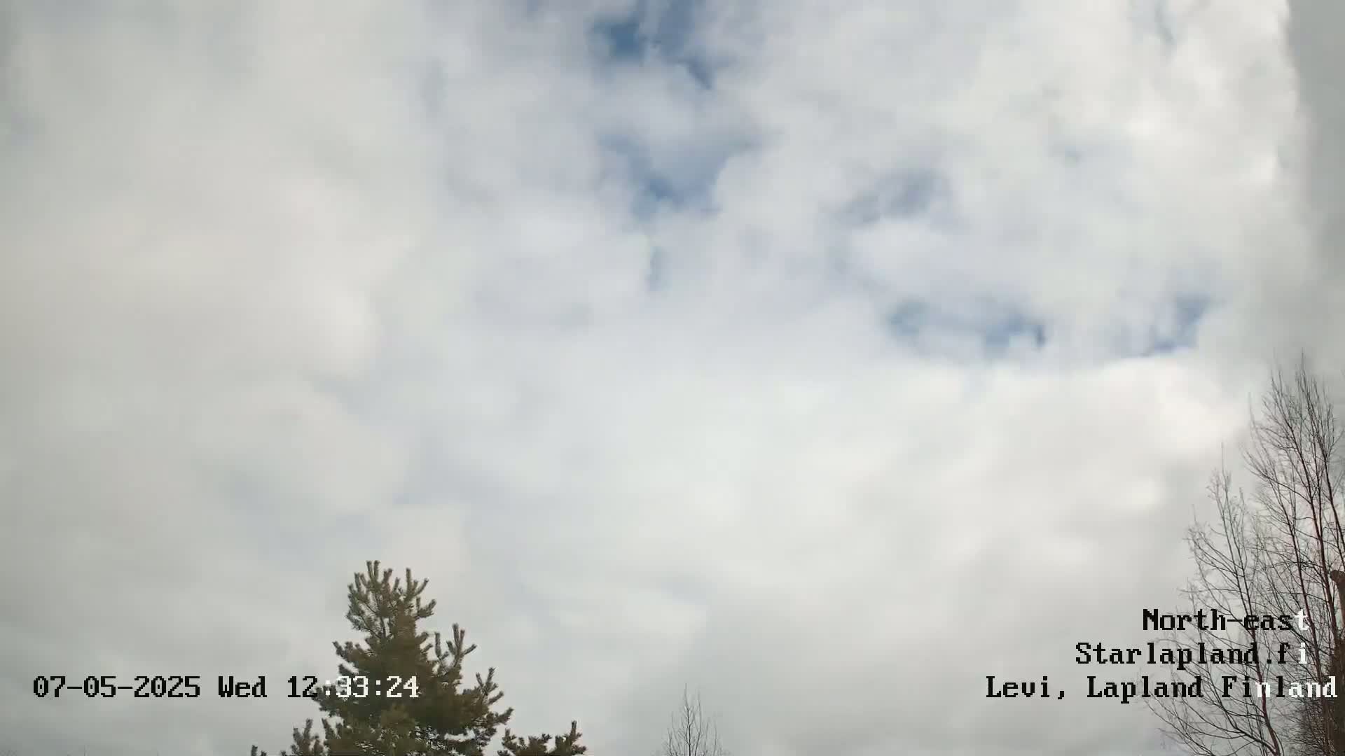 A mostly cloudy sky is visible above a partially leafless tree and a coniferous tree.