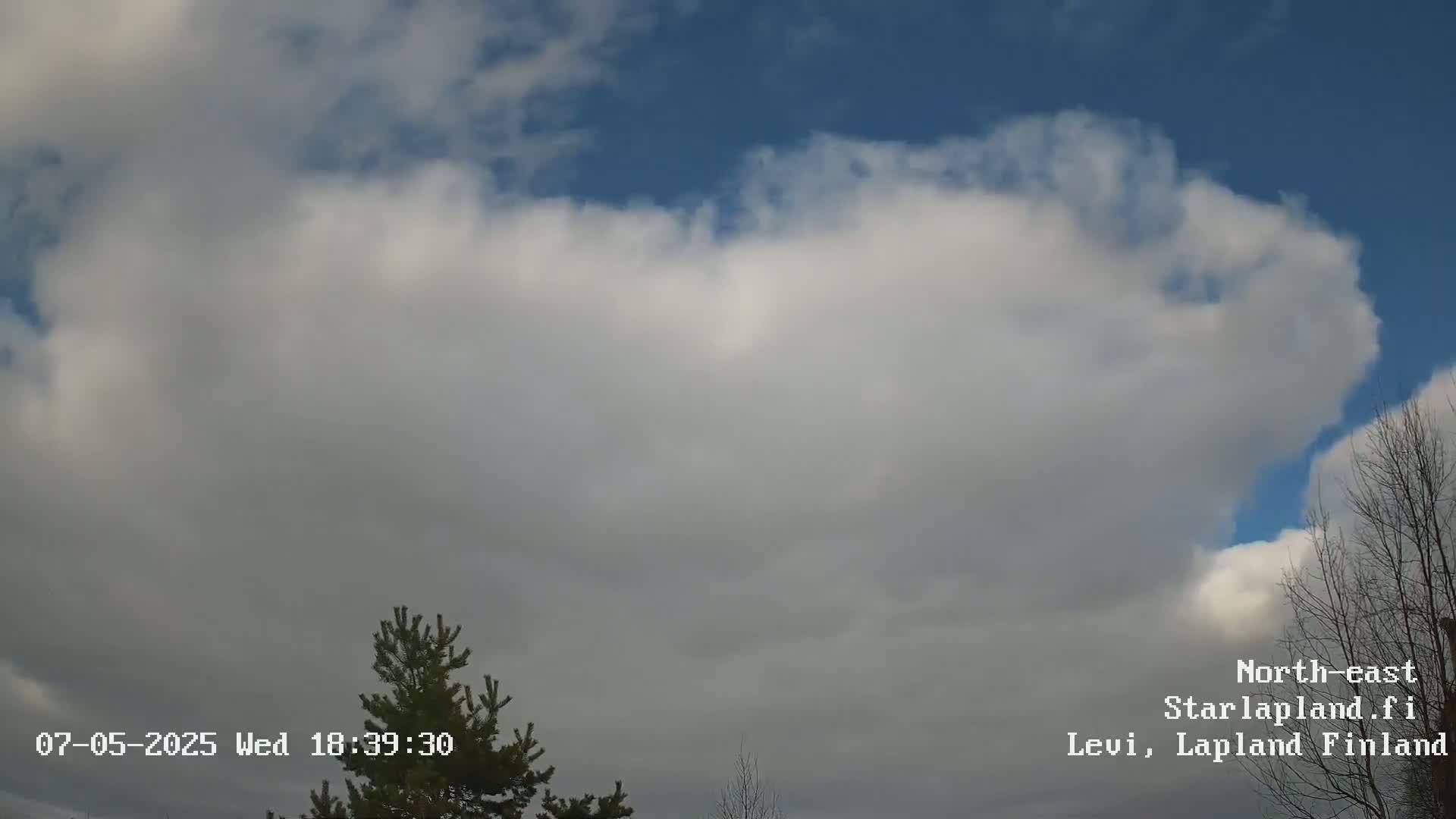 A large, puffy white cloud dominates a mostly cloudy sky, with a few bare branches visible in the lower right corner and a coniferous tree in the lower left.