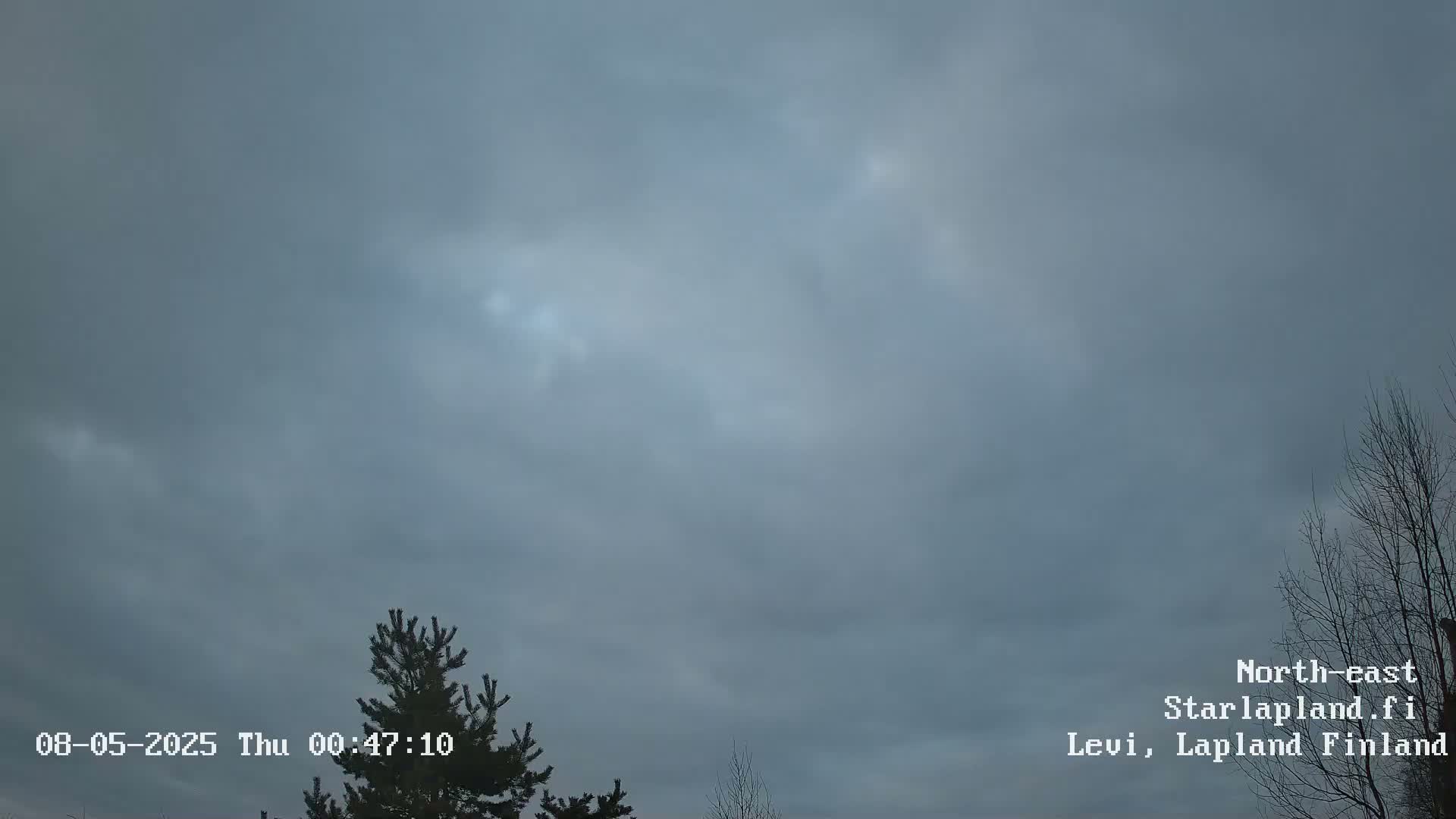 An overcast sky with a few wispy clouds is visible above a silhouetted evergreen tree and bare deciduous tree branches.