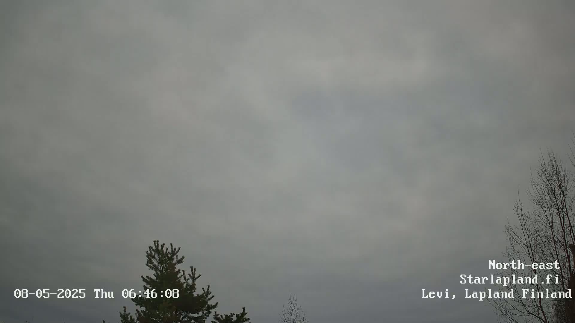 A mostly cloudy, overcast sky is visible above a few bare trees and a pine tree.