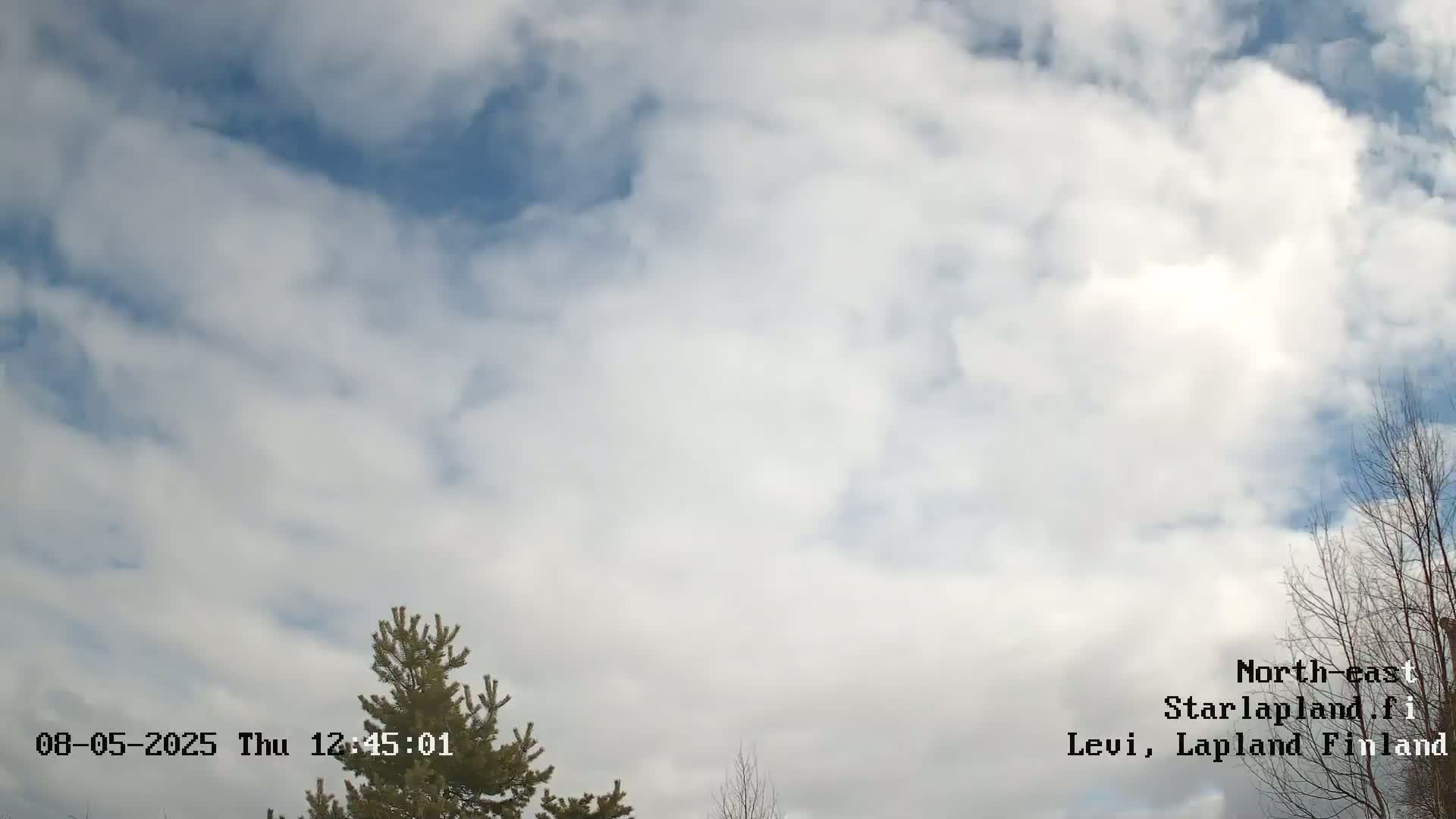 A mostly cloudy sky with patches of blue is visible above a few treetops.