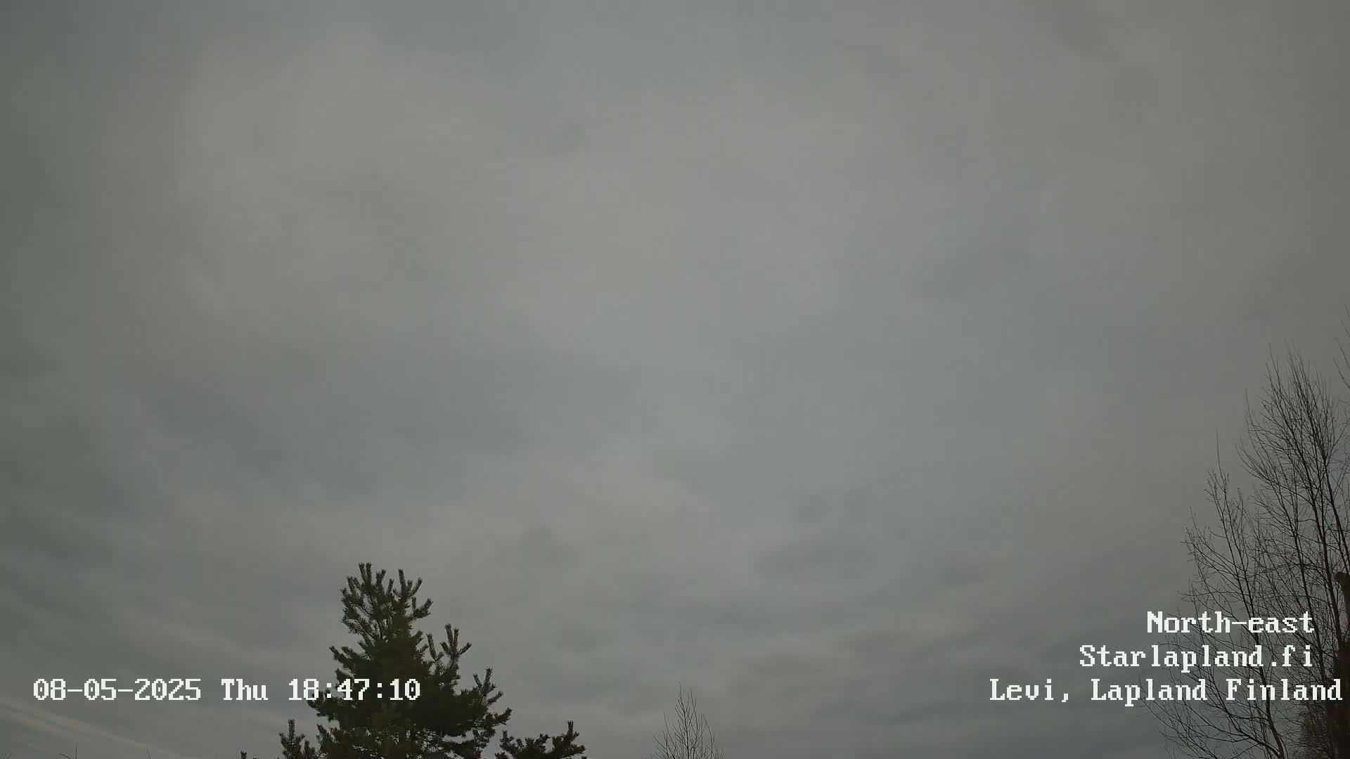 A mostly cloudy, overcast sky is visible above a sparsely populated landscape with a few leafless trees and a coniferous tree.
