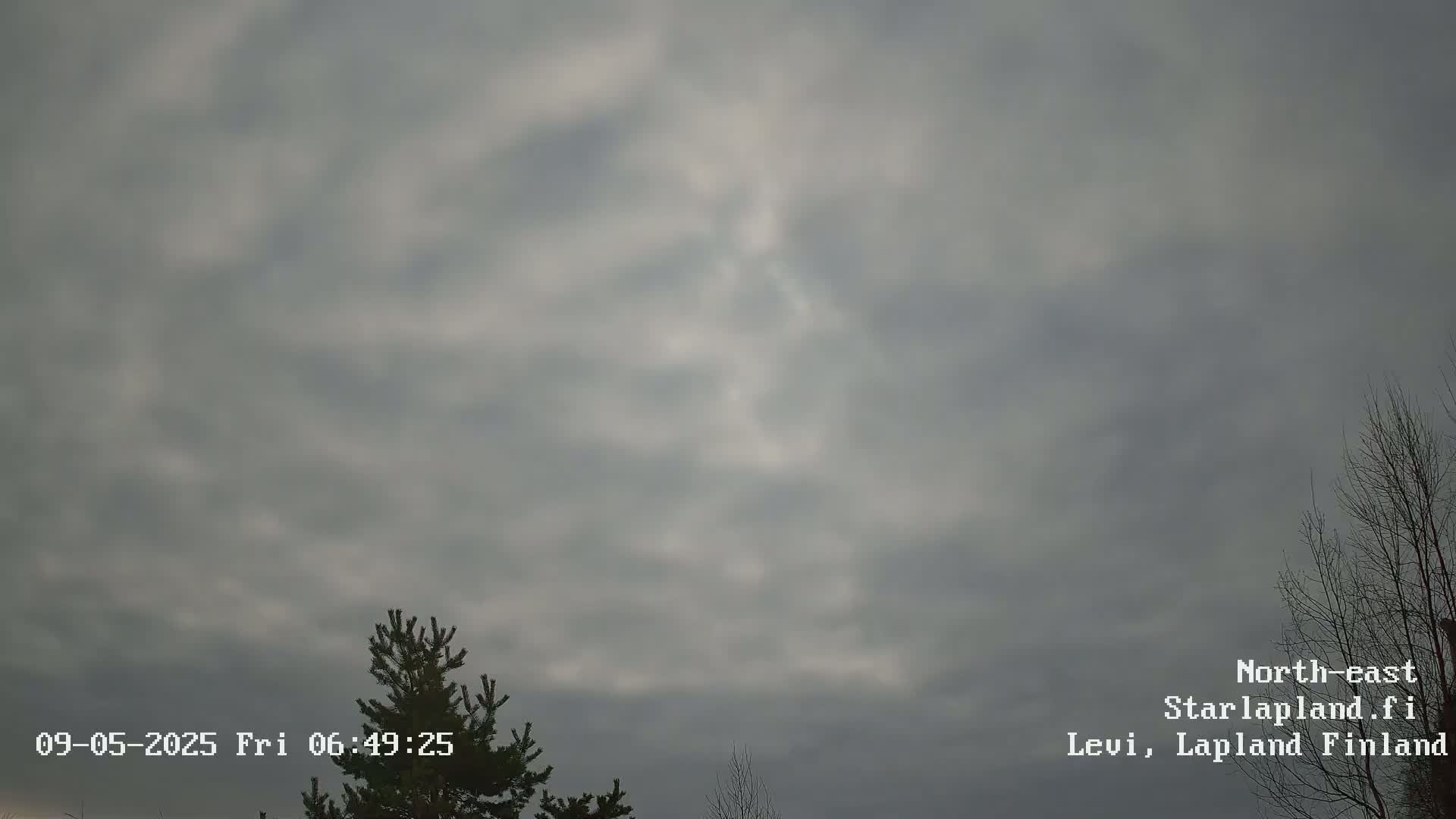 A mostly cloudy sky with some tree branches visible in the bottom right and a coniferous tree in the bottom left.