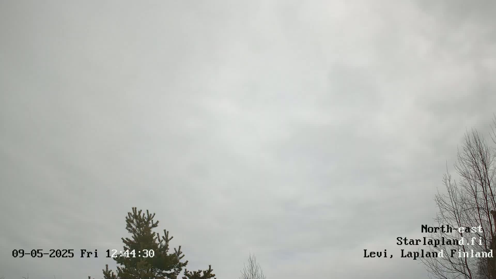 A mostly cloudy sky is visible above a small evergreen tree and a bare deciduous tree.