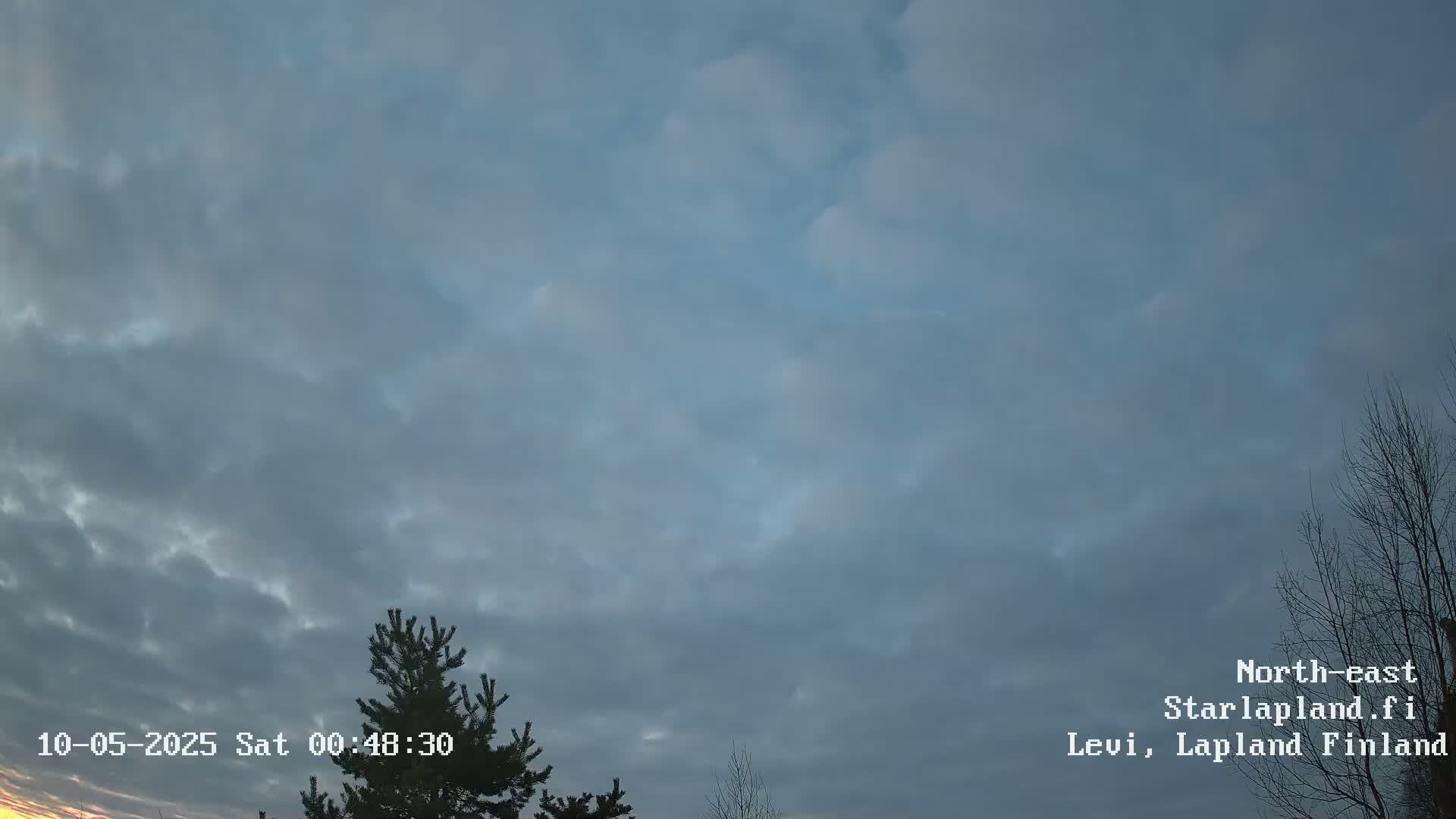 A mostly cloudy sky with some tree branches visible in the lower right and a pine tree in the lower left, under an overcast sky.