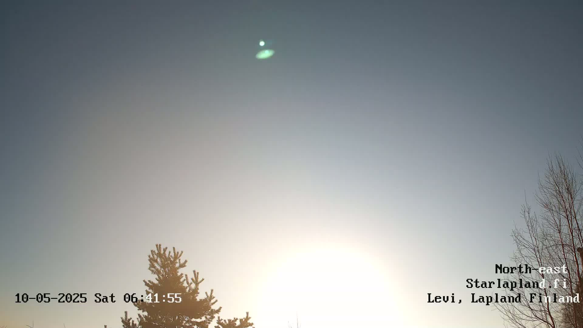 The low sun shines in a pale, clear sky above a few sparsely leaved trees.