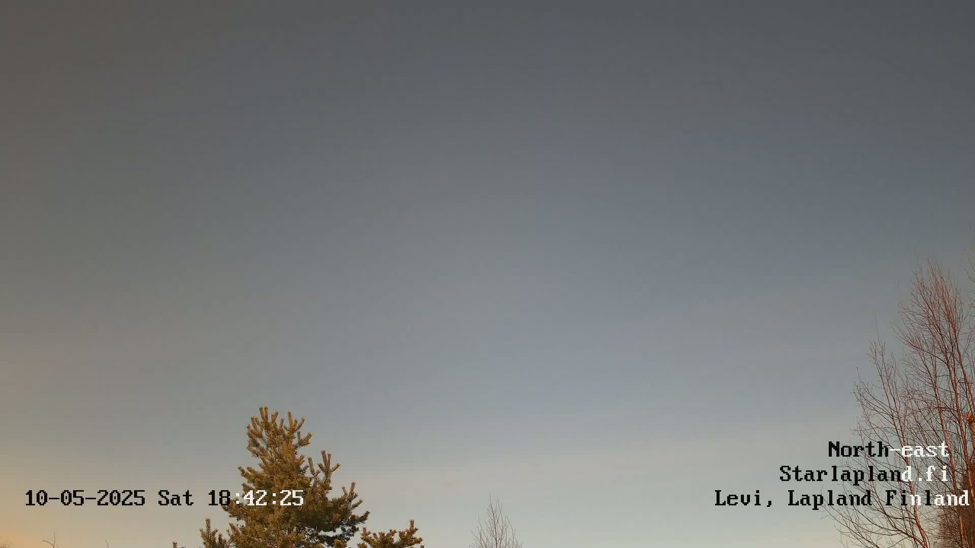 A mostly clear, pale gray sky is visible above a few leafless and evergreen trees.