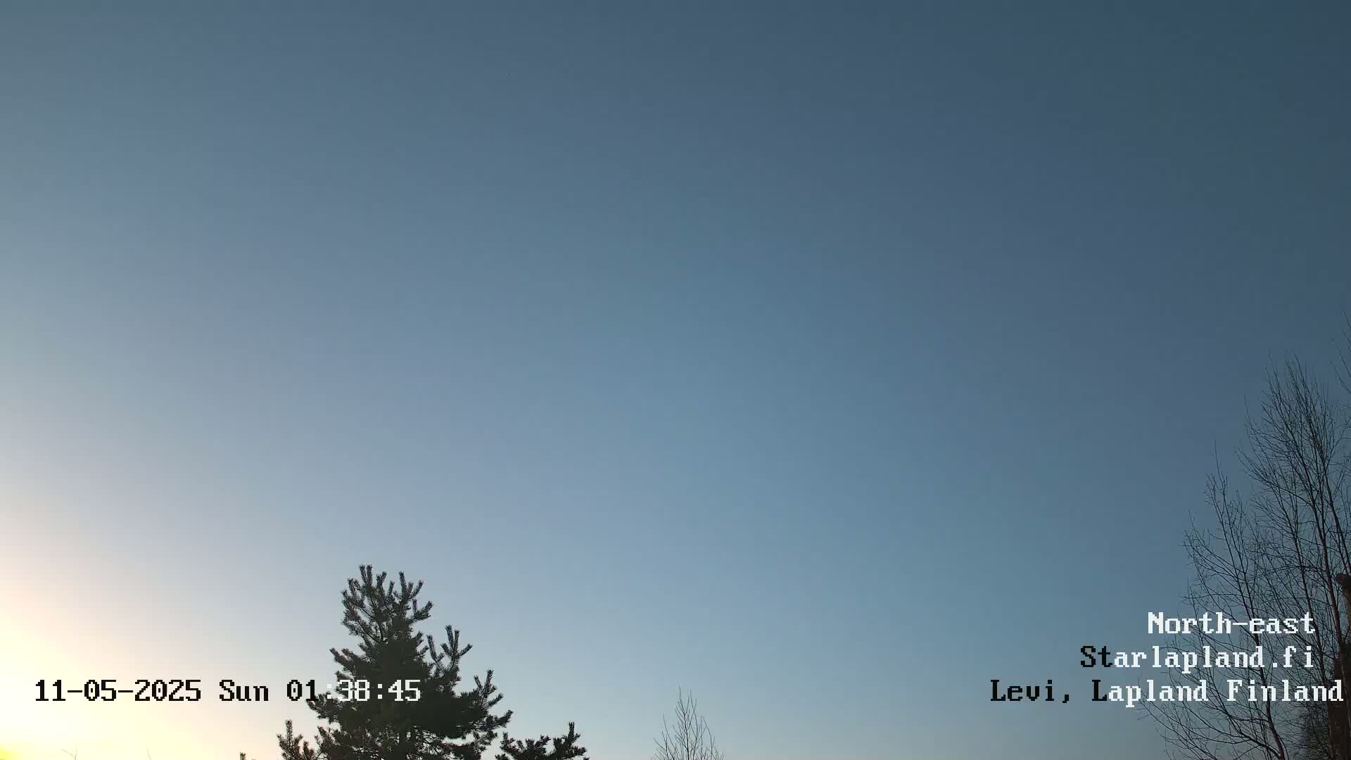 A clear, pale blue sky is visible above some bare and evergreen trees at sunrise.