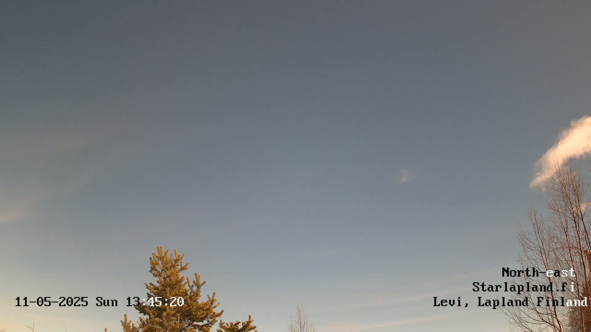 A mostly clear sky with a few wispy clouds is visible above a partially bare tree and an evergreen tree.