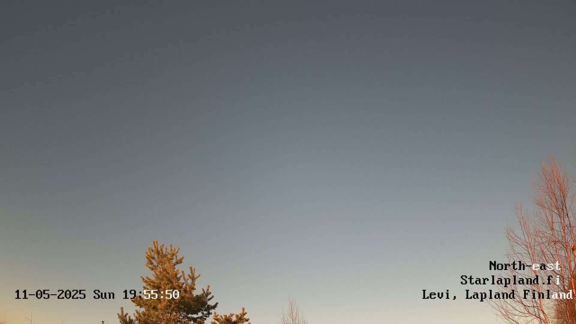 A mostly clear, pale gray sky is visible above a few leafless and coniferous trees at dusk.