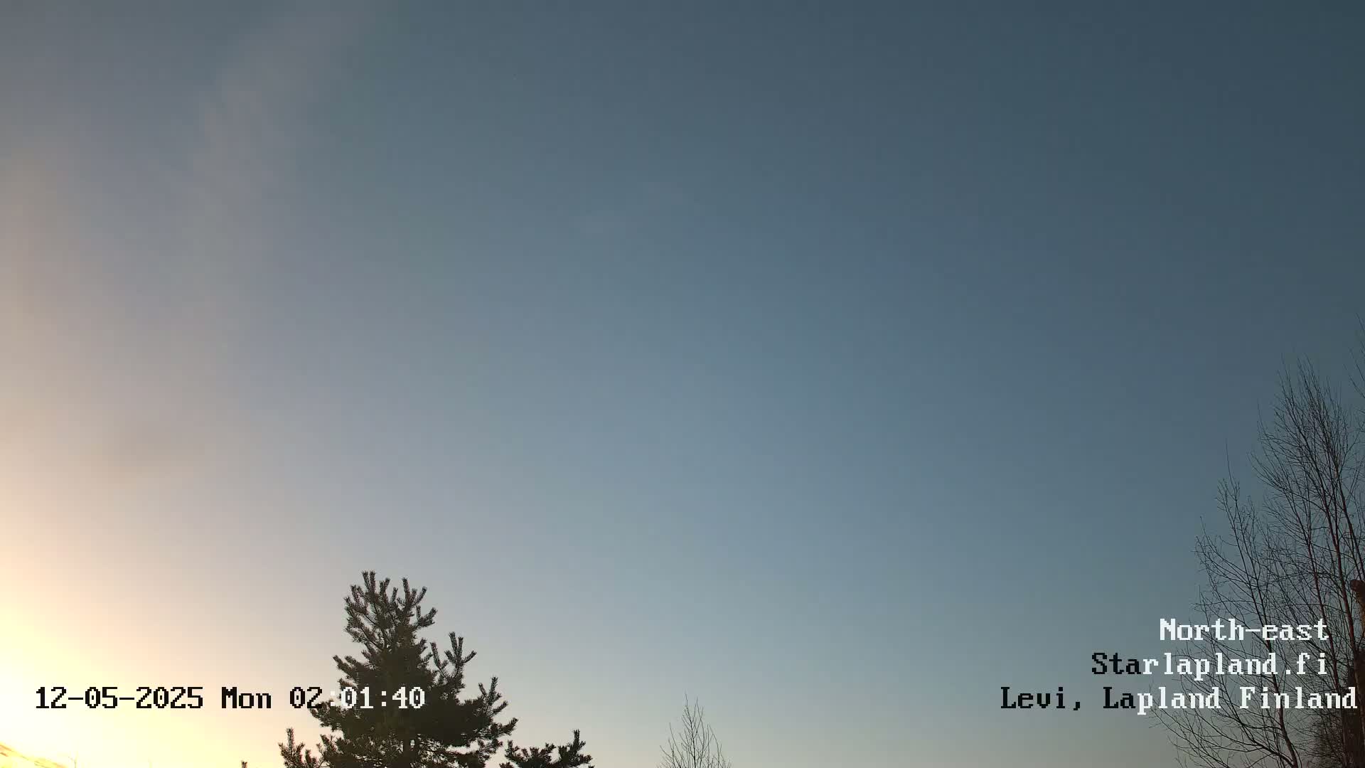 A mostly clear, twilight sky is visible above a few bare trees and an evergreen tree.