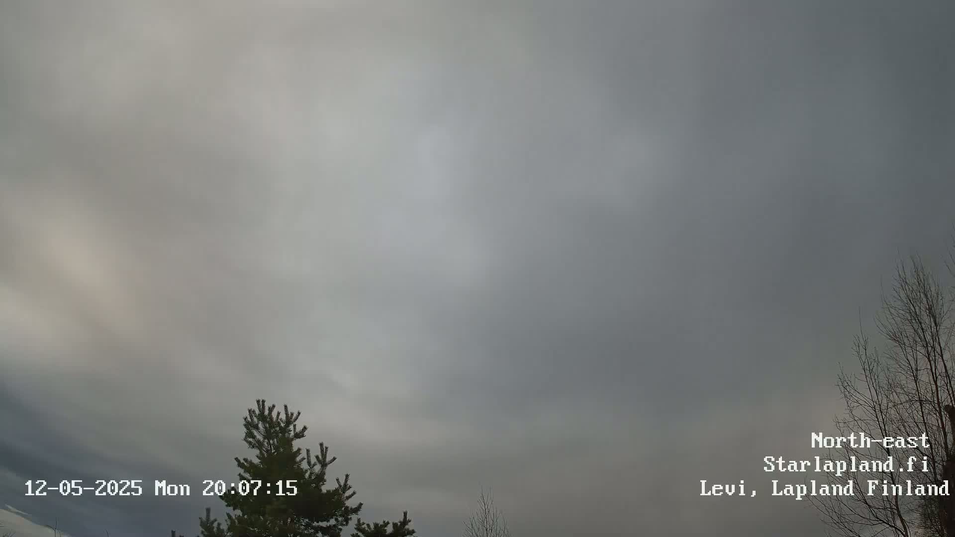 A mostly cloudy sky is visible, with a few hints of lighter coloration, and some bare tree branches are seen at the bottom right.