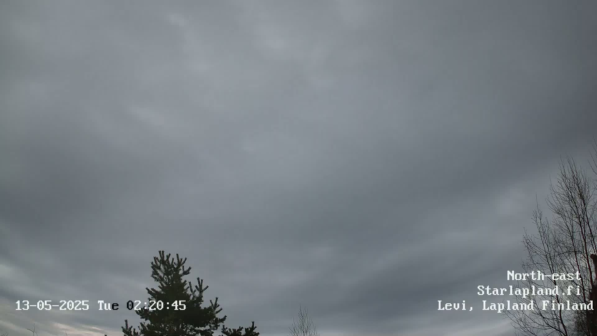 An overcast sky with a few bare trees visible in the bottom right corner.