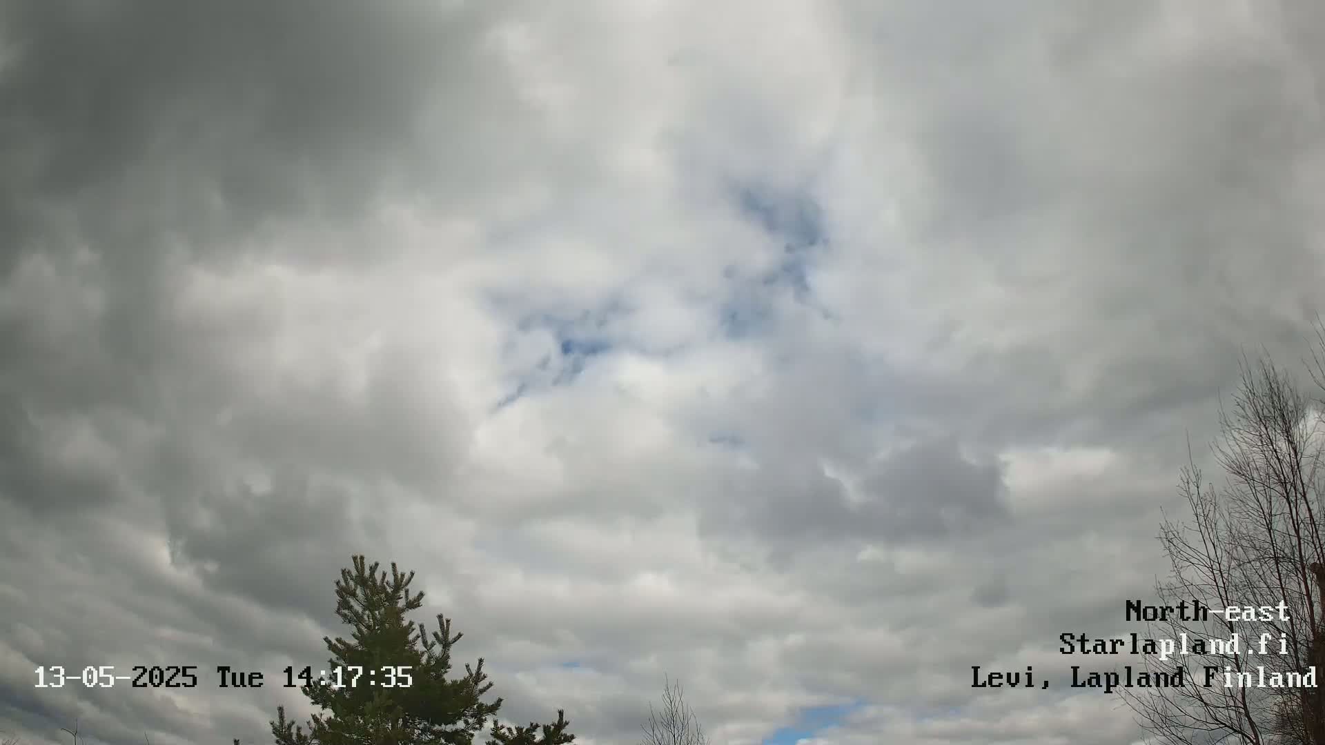 Overcast skies with some small patches of blue visible above a pine tree and bare branches.