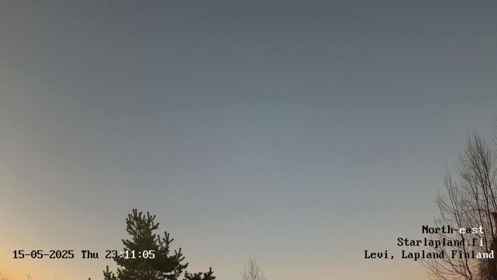 A mostly clear, dusky sky is visible above some bare and evergreen trees at twilight.