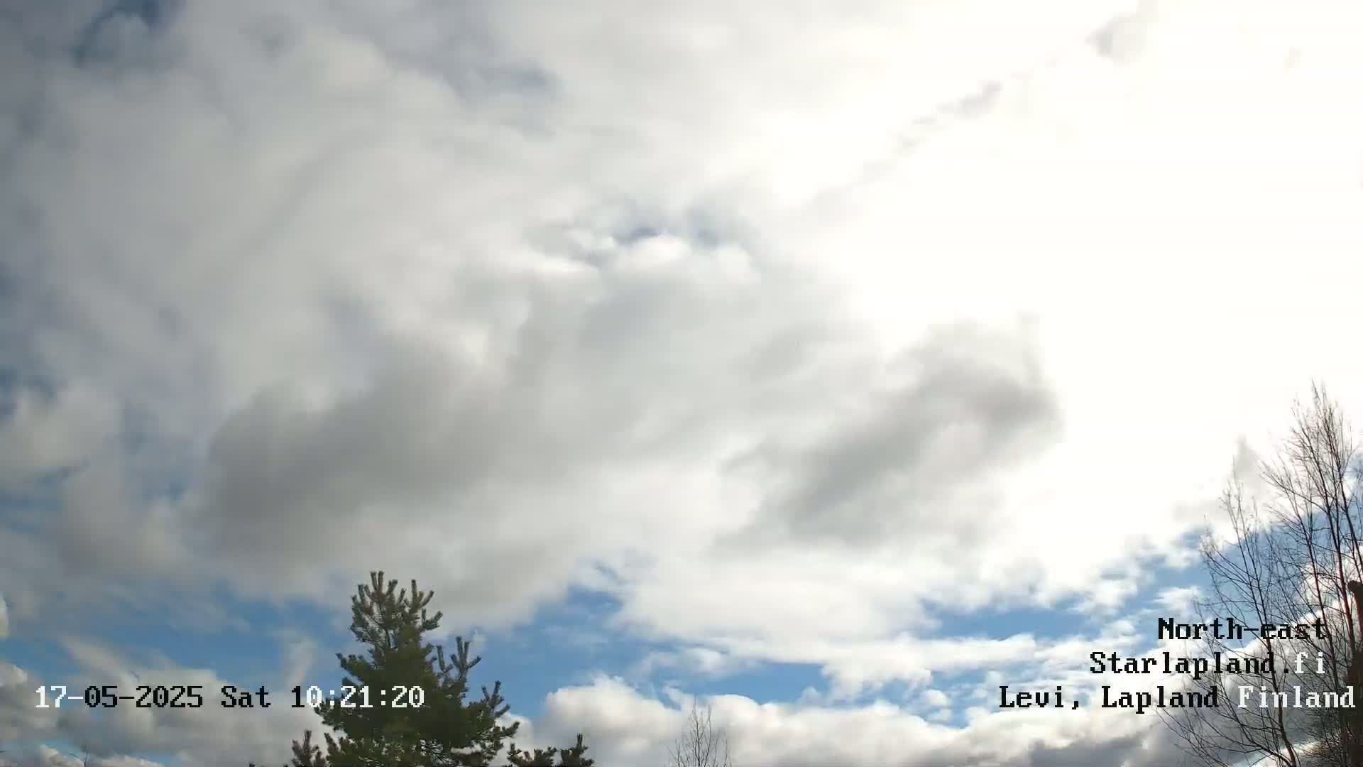A partly cloudy sky with some blue visible, featuring a few evergreen trees in the bottom left corner and bare branches of a deciduous tree on the right.