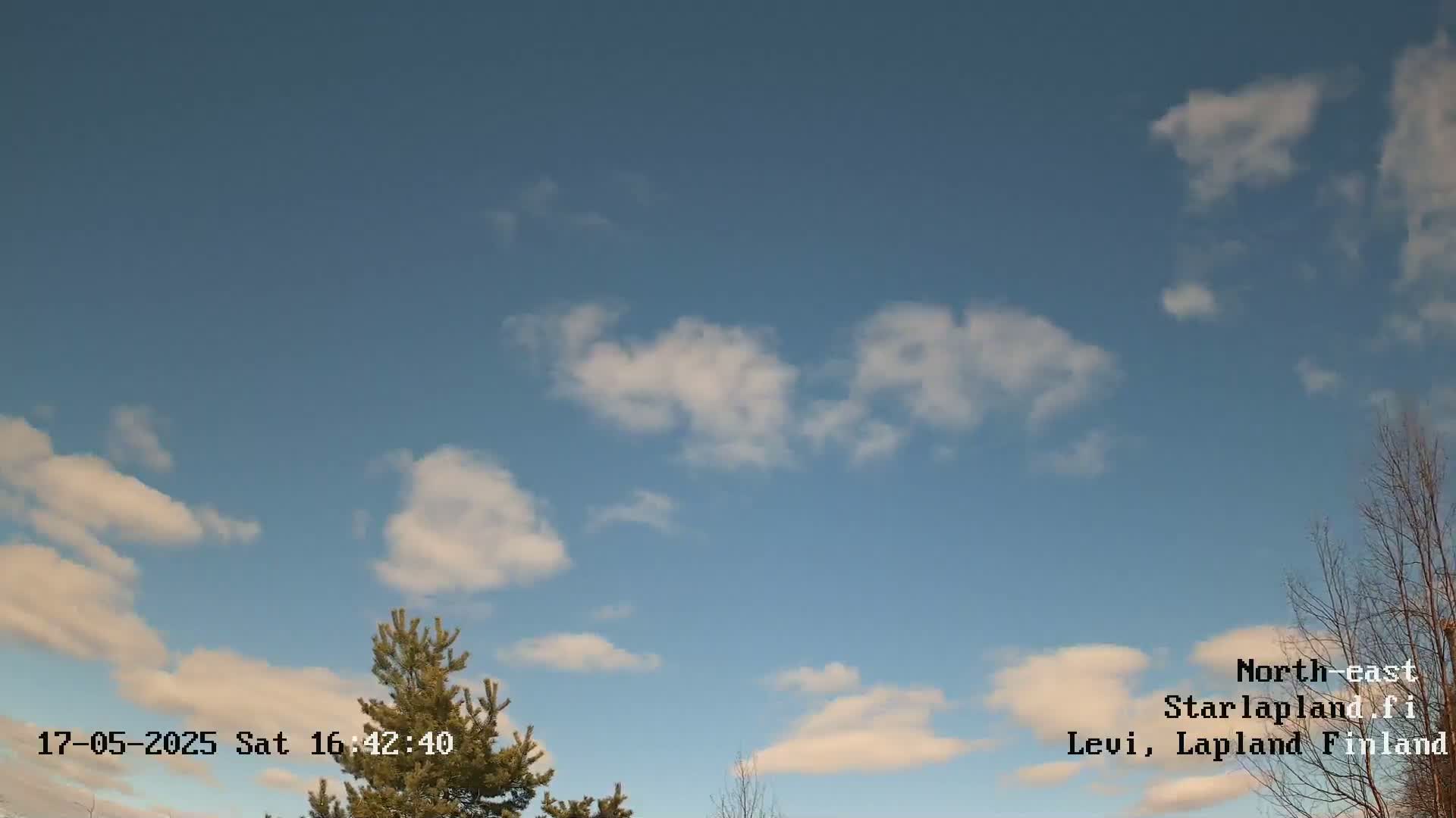 A mostly clear blue sky with scattered cumulus clouds is visible above a small pine tree and bare branches of a deciduous tree.