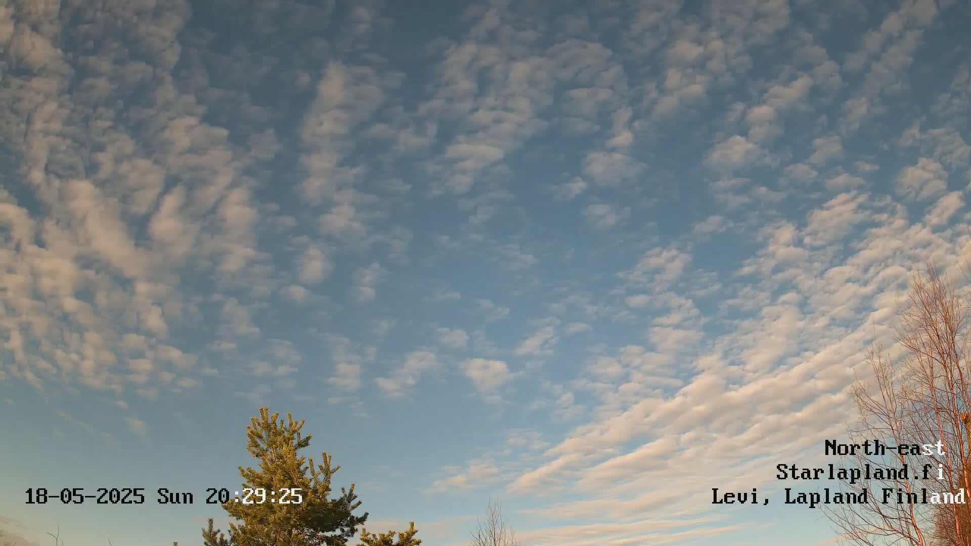 A mostly clear sky filled with scattered, small, white clouds is visible above some treetops.