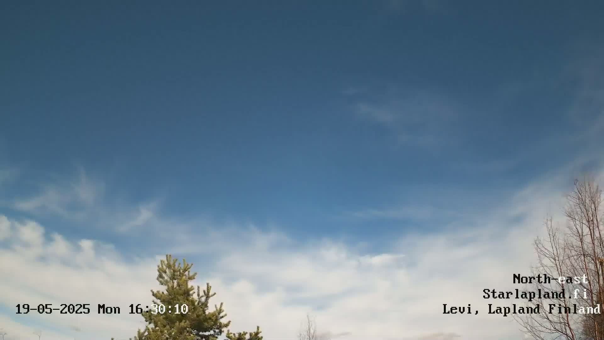 A mostly clear blue sky with thin, wispy clouds and a few bare trees are visible in the lower right corner of the frame.