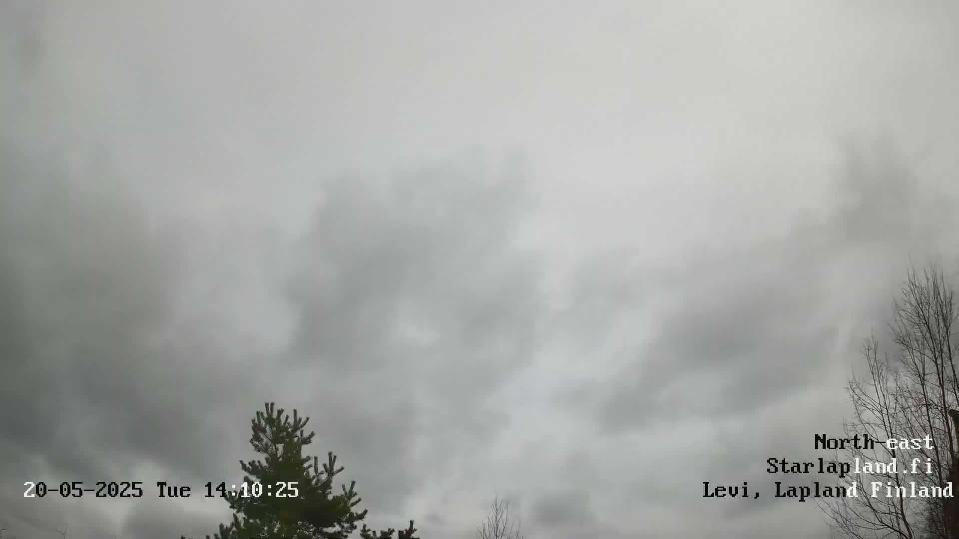 An overcast sky with a few trees visible in the bottom corner.