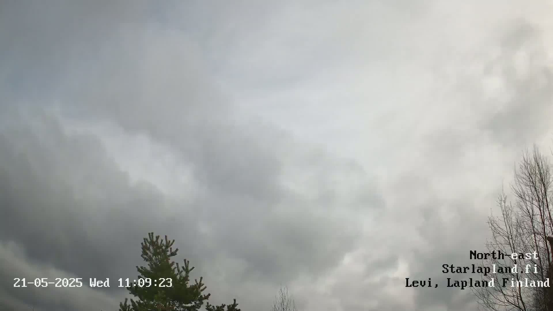 A mostly cloudy sky is visible above some treetops, under overcast conditions.