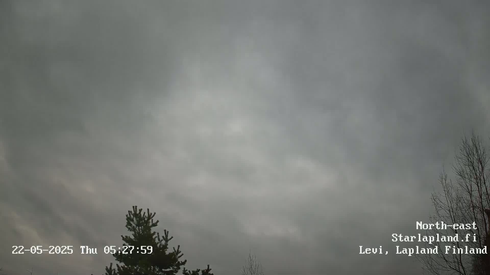 A mostly cloudy, overcast sky is visible above a few dark-colored evergreen trees.