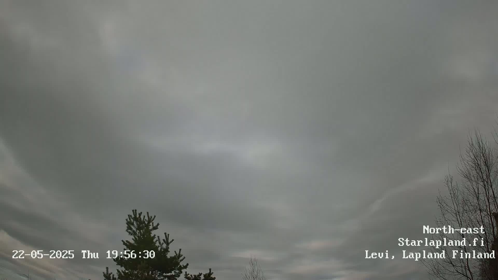 An overcast sky with faint streaks of lighter gray clouds is visible above a small evergreen tree and bare branches of deciduous trees.
