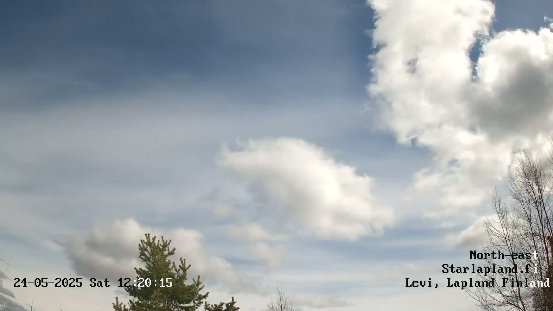 A partly cloudy sky with fluffy white clouds against a blue sky is visible, with the top of a coniferous tree in the bottom left corner and bare branches of deciduous trees in the bottom right.