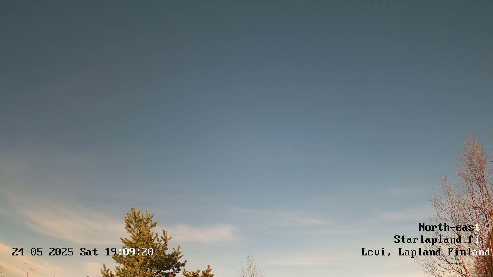 A mostly clear, twilight sky is visible above a few sparsely leaved trees.